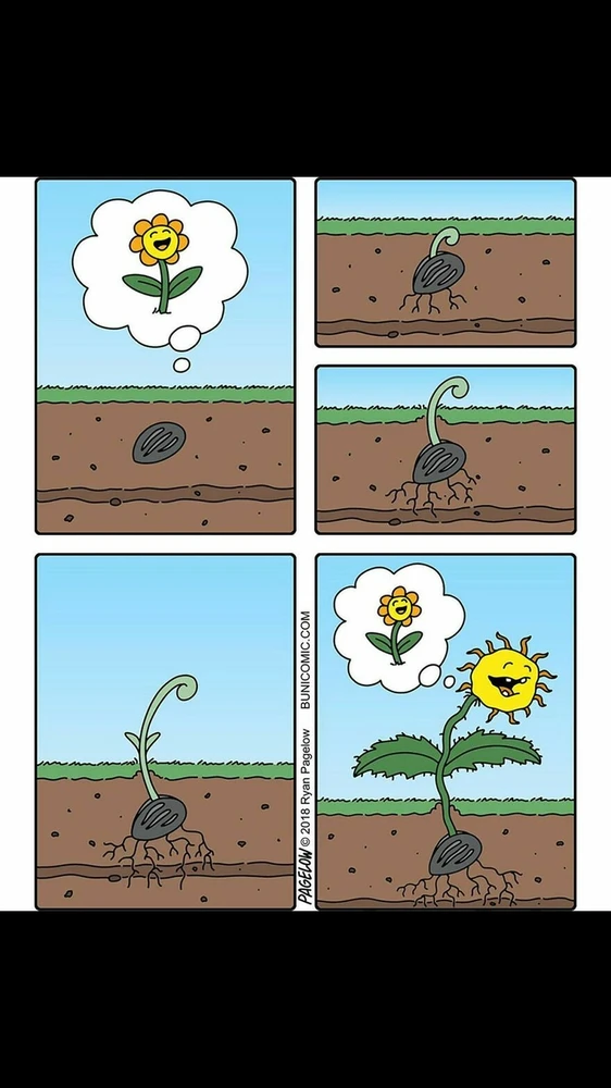 Mai йөкләгән GIF