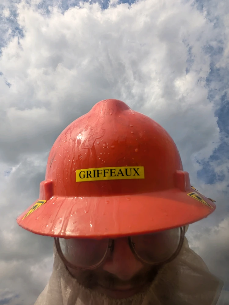 Sary napetrak'i Griffeaux