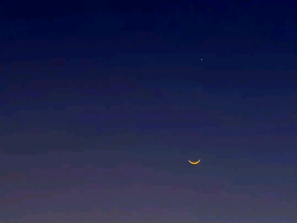 ❤ Sophia aka Mango Mami ❤️ پاران اپ لوڊ ٿيل GIF