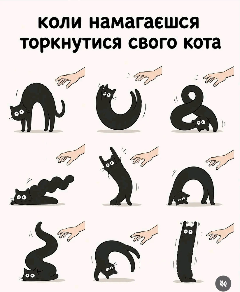 Svetlana 上傳的 GIF