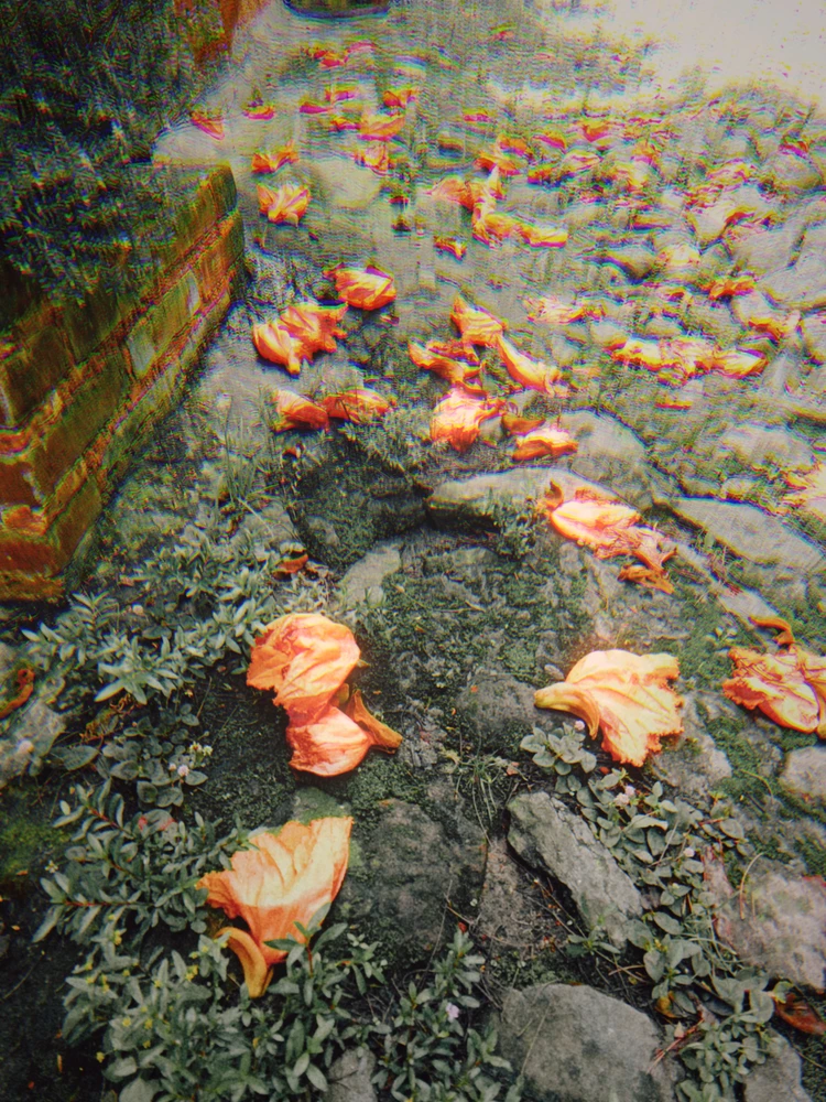 GIF uploaded by Mg