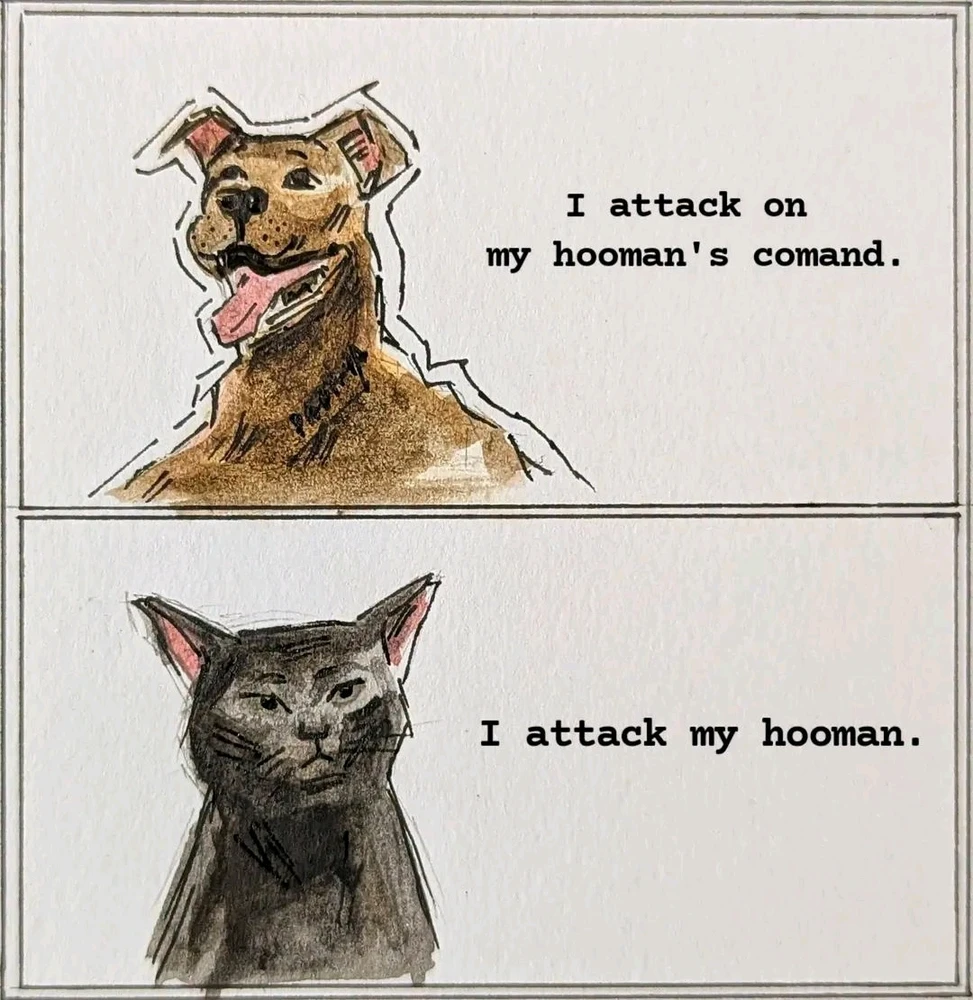 GIF uploaded by A Cash