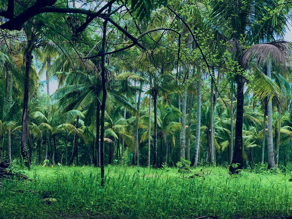 GIF uploaded by Tate