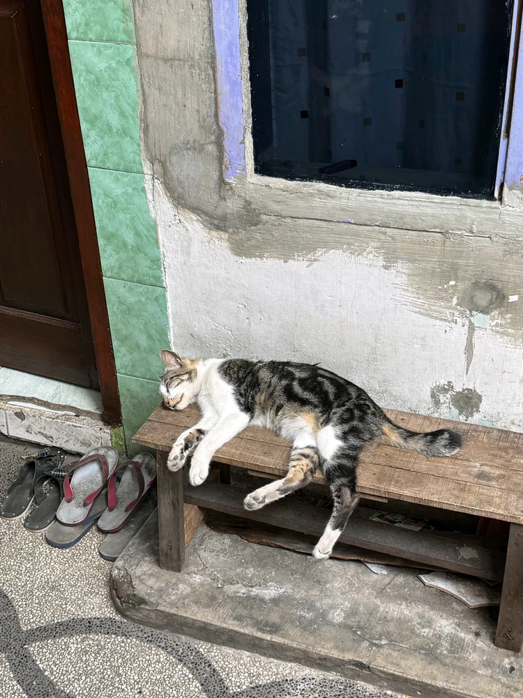 Image uploaded by Hendy