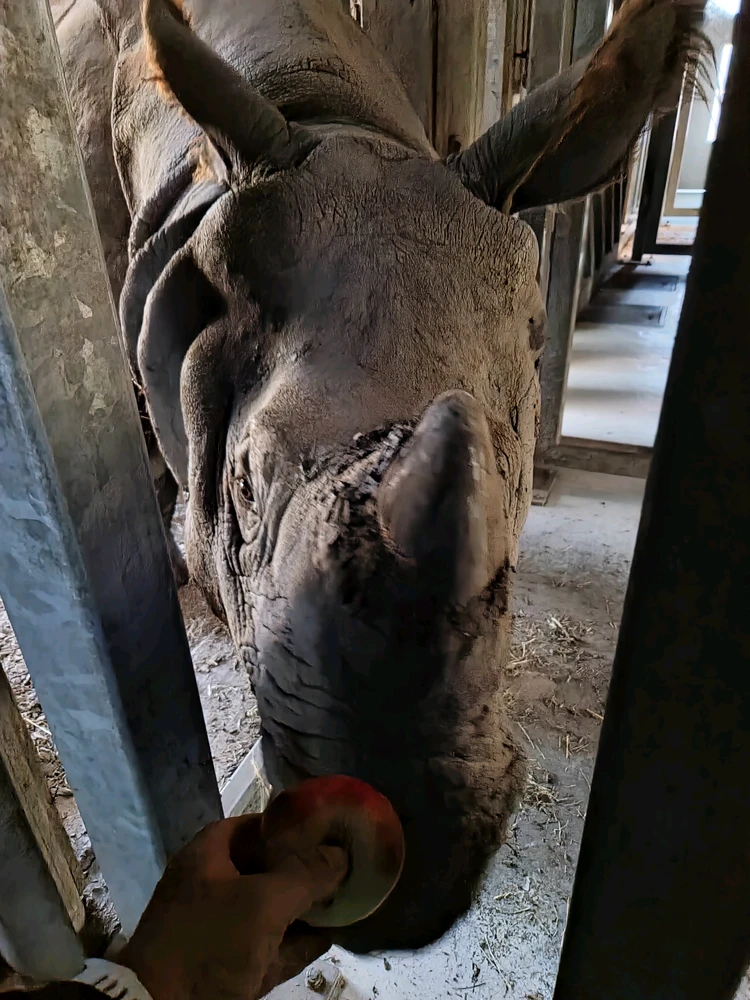 Lajos ले अपलोड गरेको तस्बिर