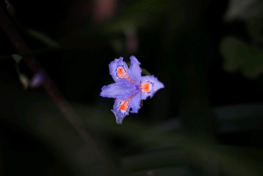 Image uploaded by Eduarda