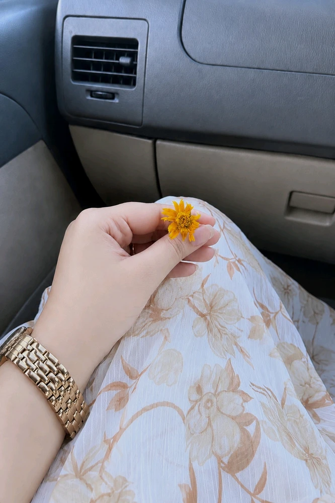 GIF загрузил Chesta