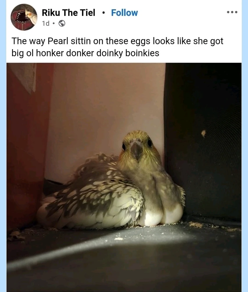 GIF uploaded by Osthexe