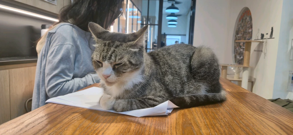 GIF ανέβηκε από Caspy