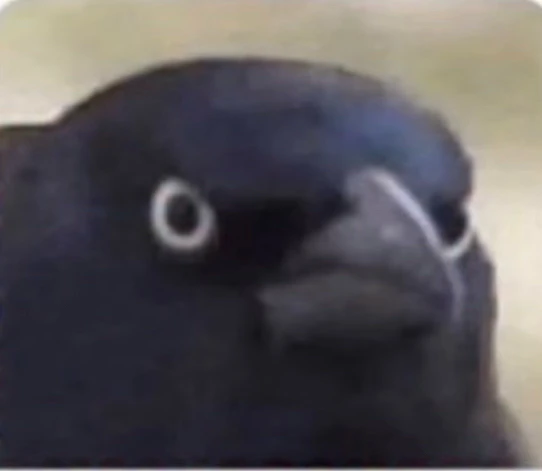 GIF uploaded by Nate