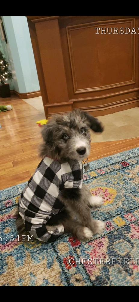 GIF i tukuna ake e Sobir