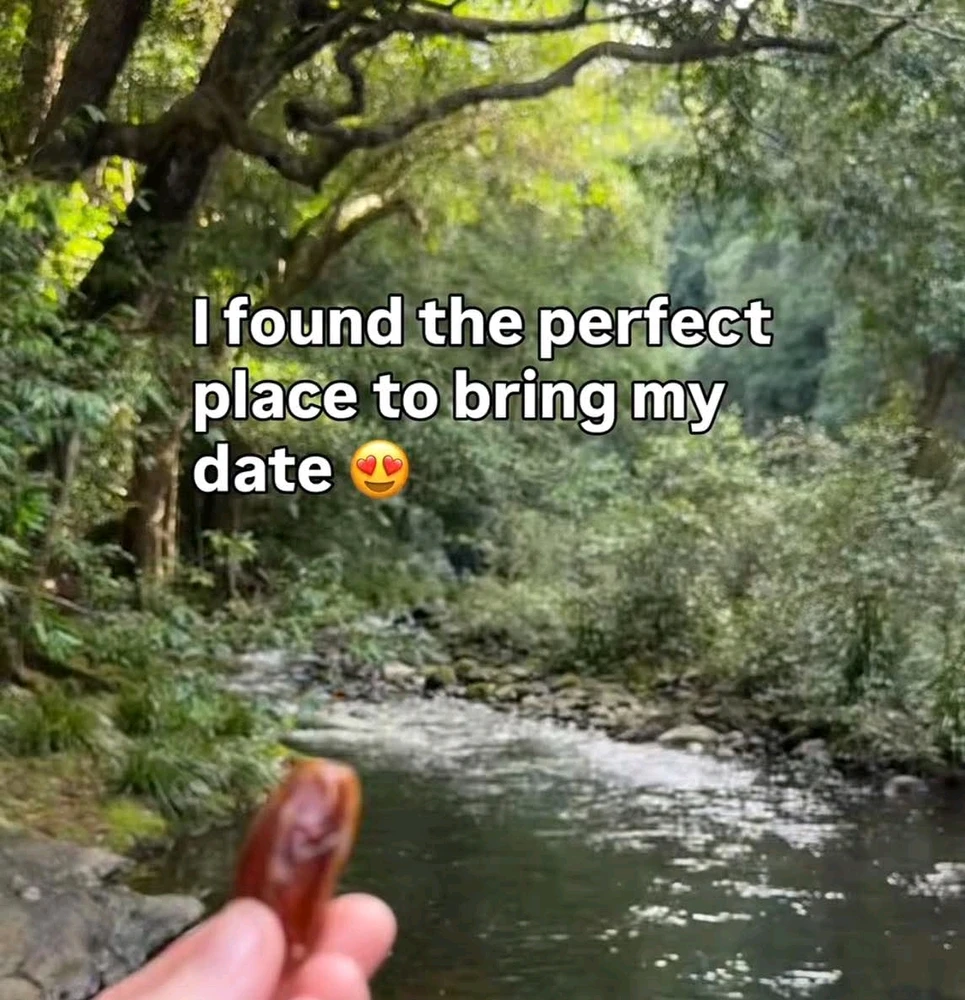 Josh上传的GIF
