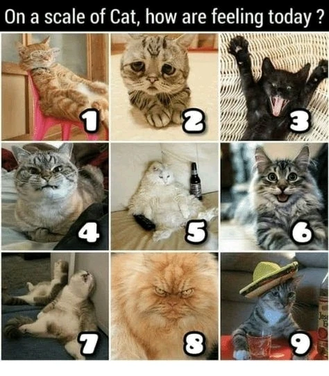 GIF uploaded by Saff