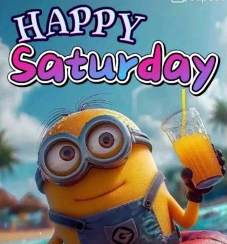 Saff上传的GIF