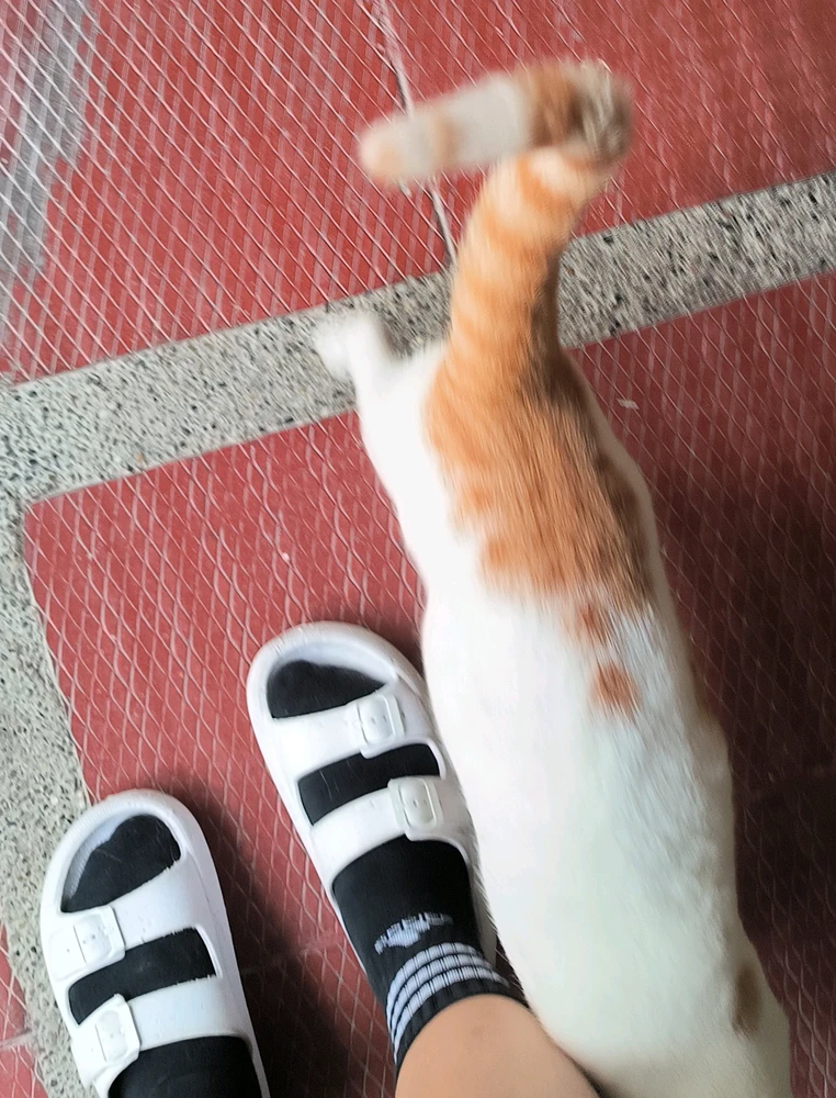 Качено от Karen