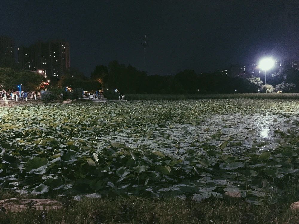 GIF üles laaditud kasutajalt Sunn,