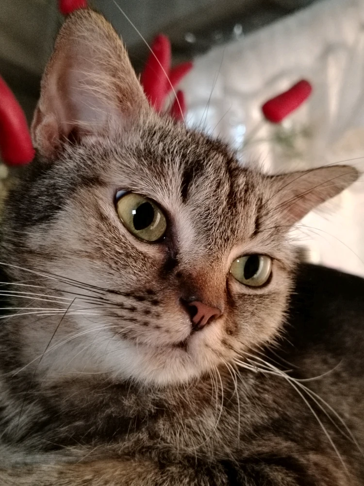 Image uploaded by Sky
