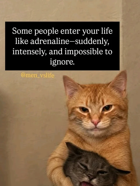 Saris ਵੱਲੋਂ ਅੱਪਲੋਡ ਕੀਤੀ ਤਸਵੀਰ