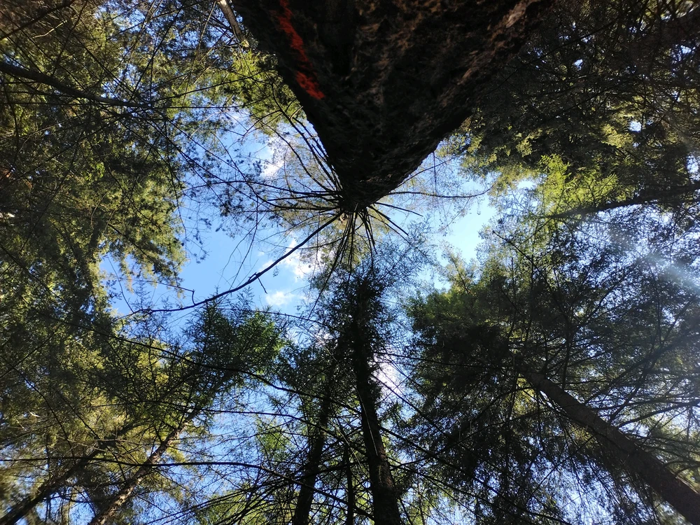 GIF ji aliyê Stijn ve hatiye barkirin