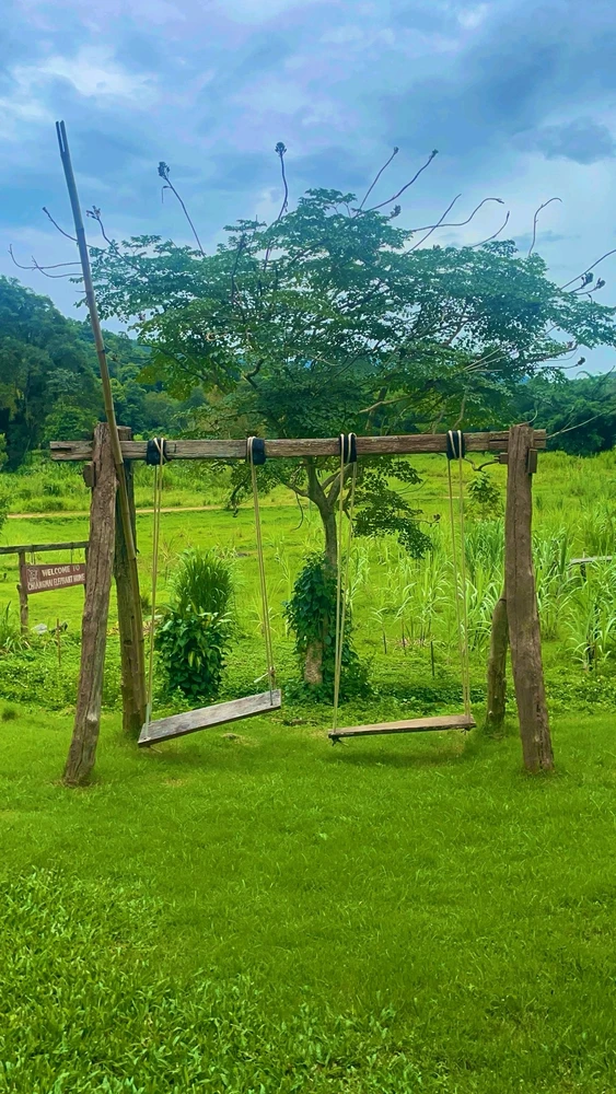 Imazhi u ngarkua nga CH