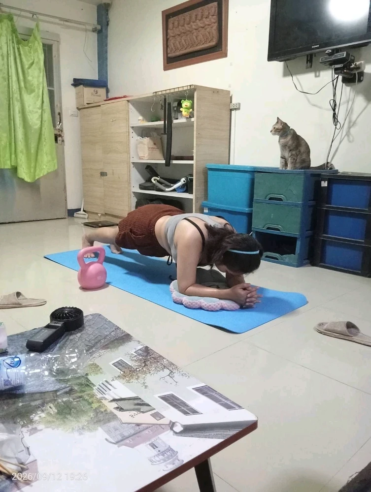 Bee上传的GIF