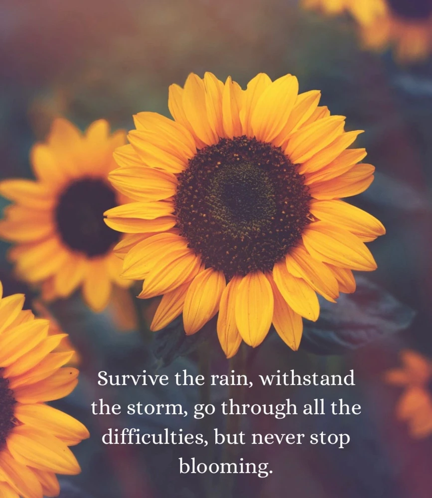 GIF uploaded by Prince Rahil