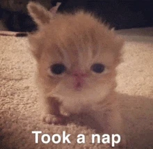 Jen上传的GIF