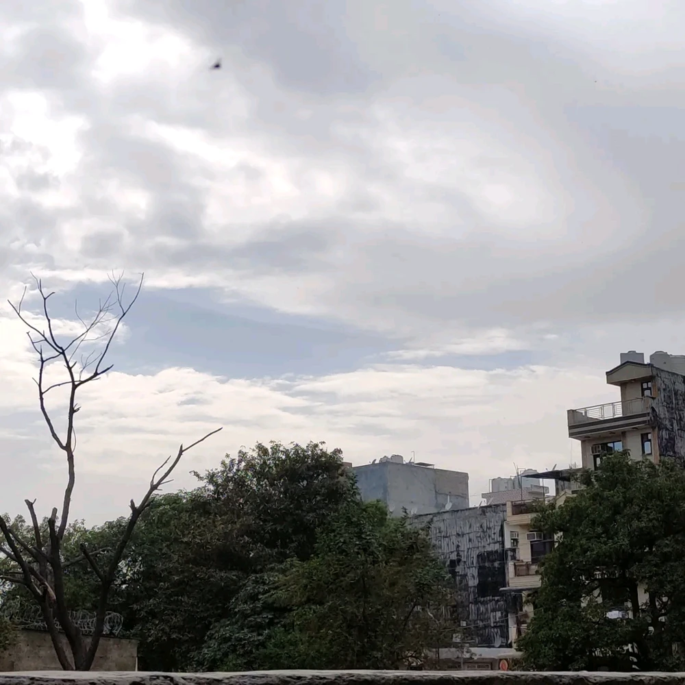 GIF učitao/la MANISH RAWAT