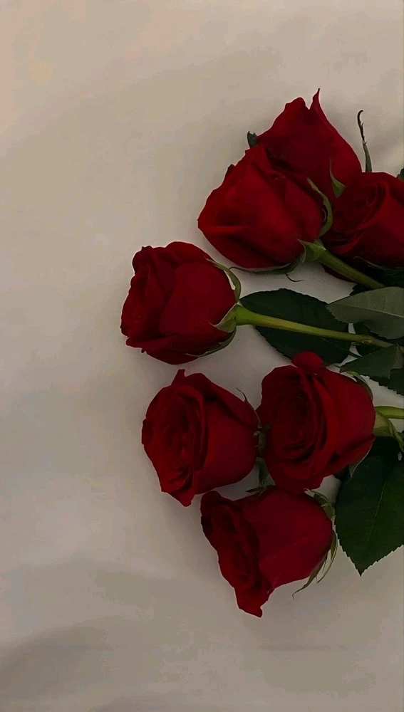 GIF eropgeluede vum Hazel