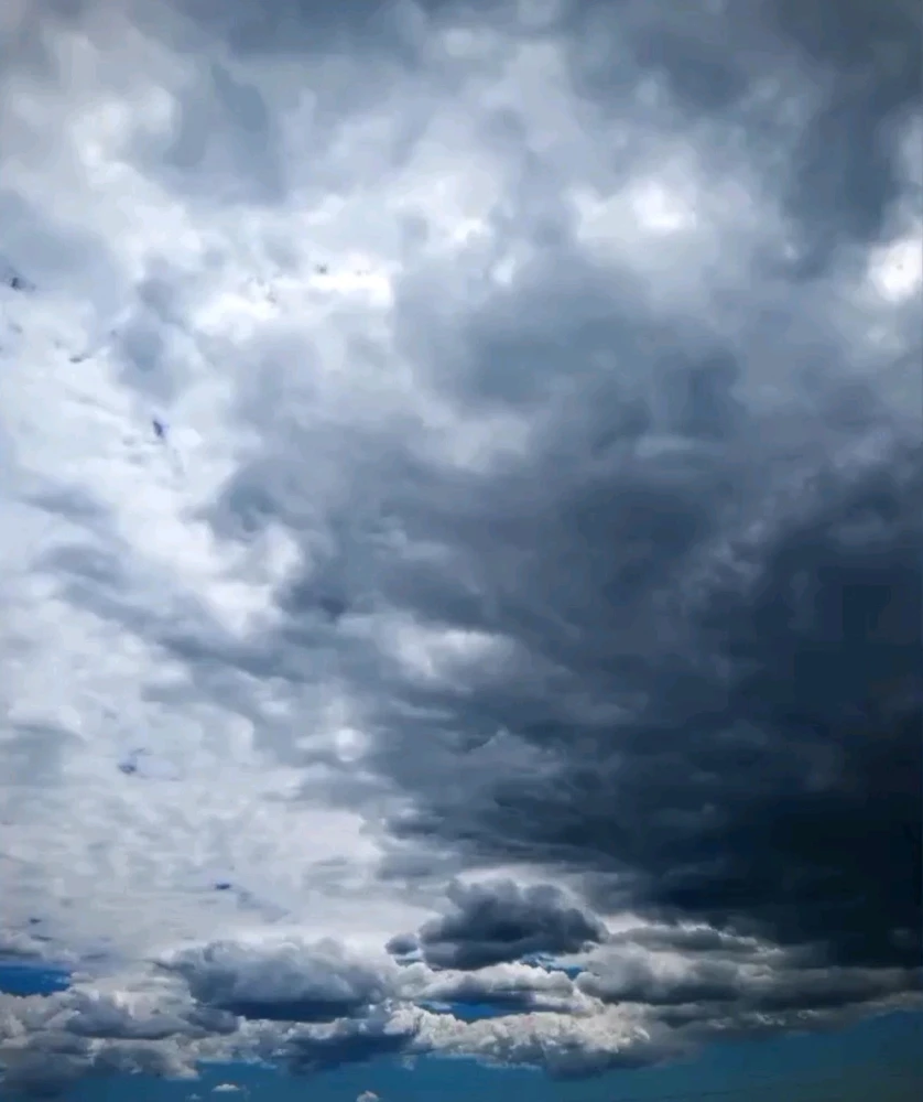 Metoo上传的GIF