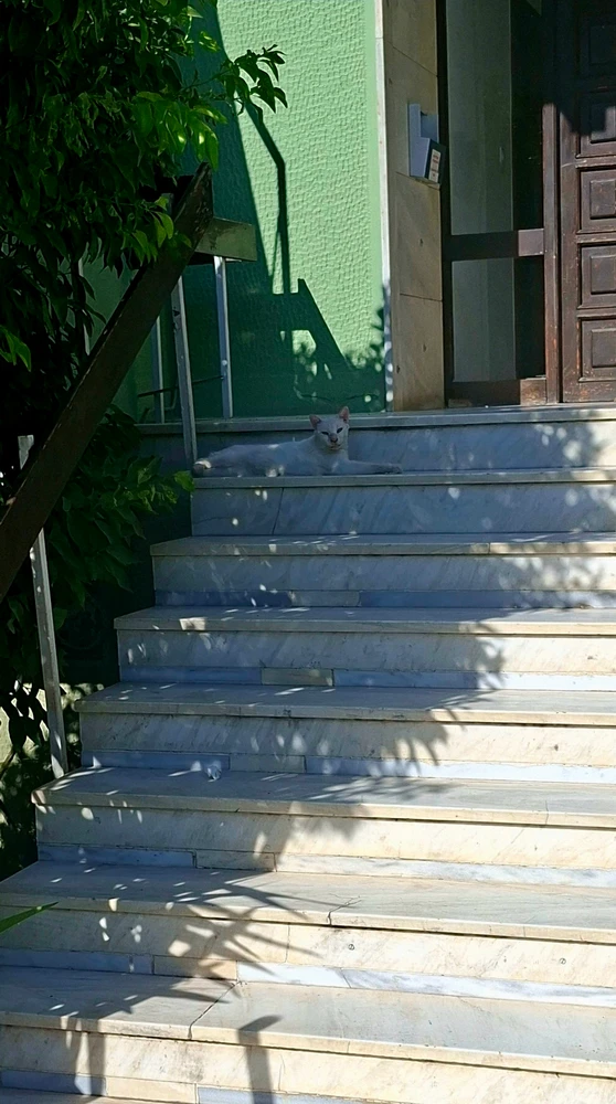 Δανιήλ erabiltzaileak igotako GIFa