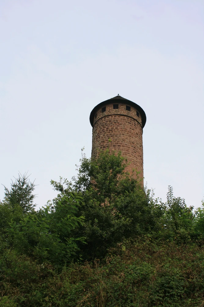 Boriss laadis üles pildi