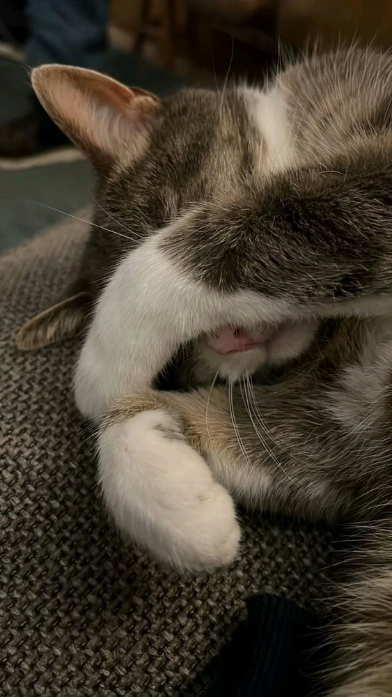 JiがアップロードしたGIF