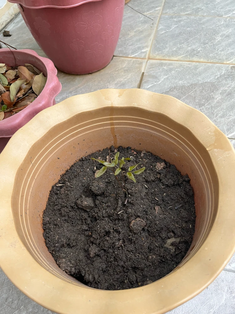 GIF uploaded by Nit