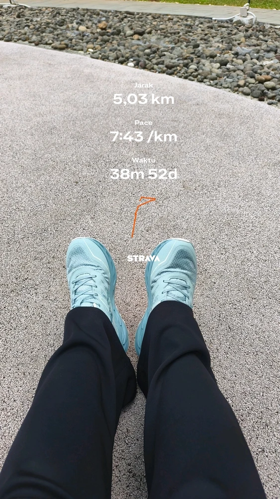 Lia上传的GIF
