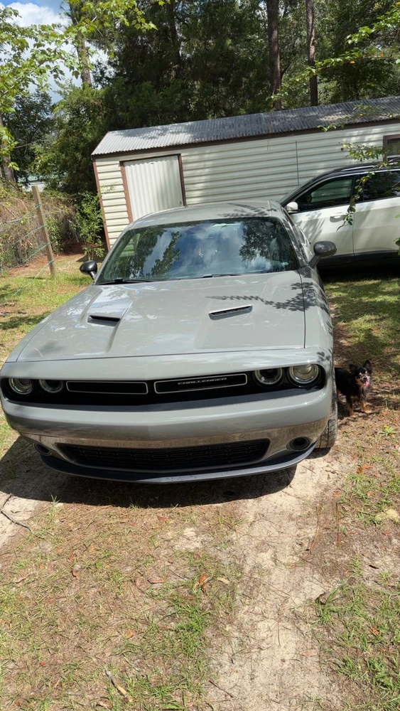 GIF uploaded by Dalton