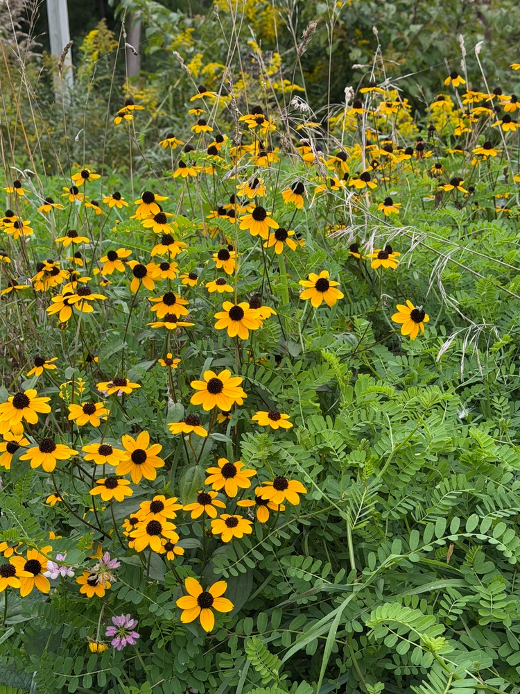 GIF uploaded by Robbie