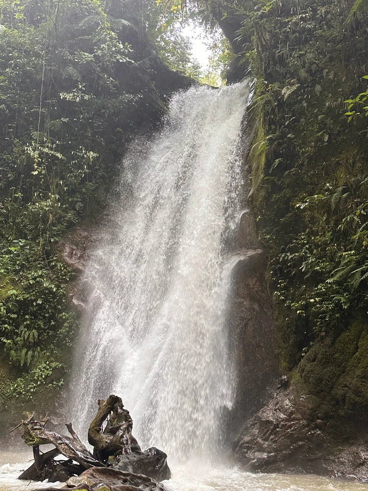 GIF uploaded by rea