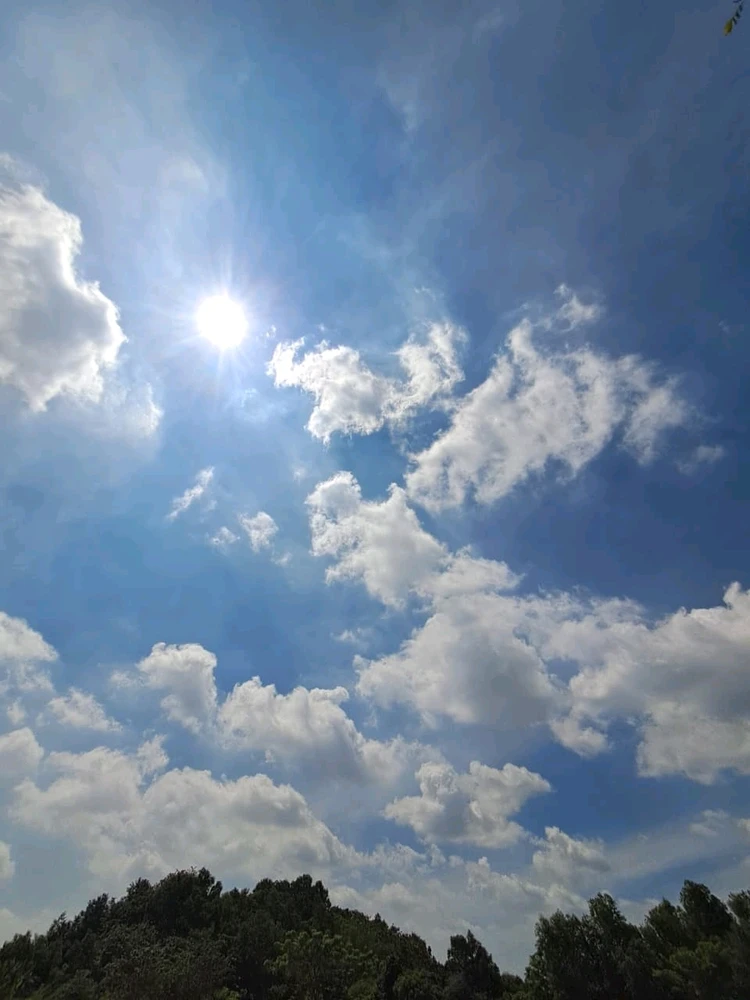 Gee上传的GIF