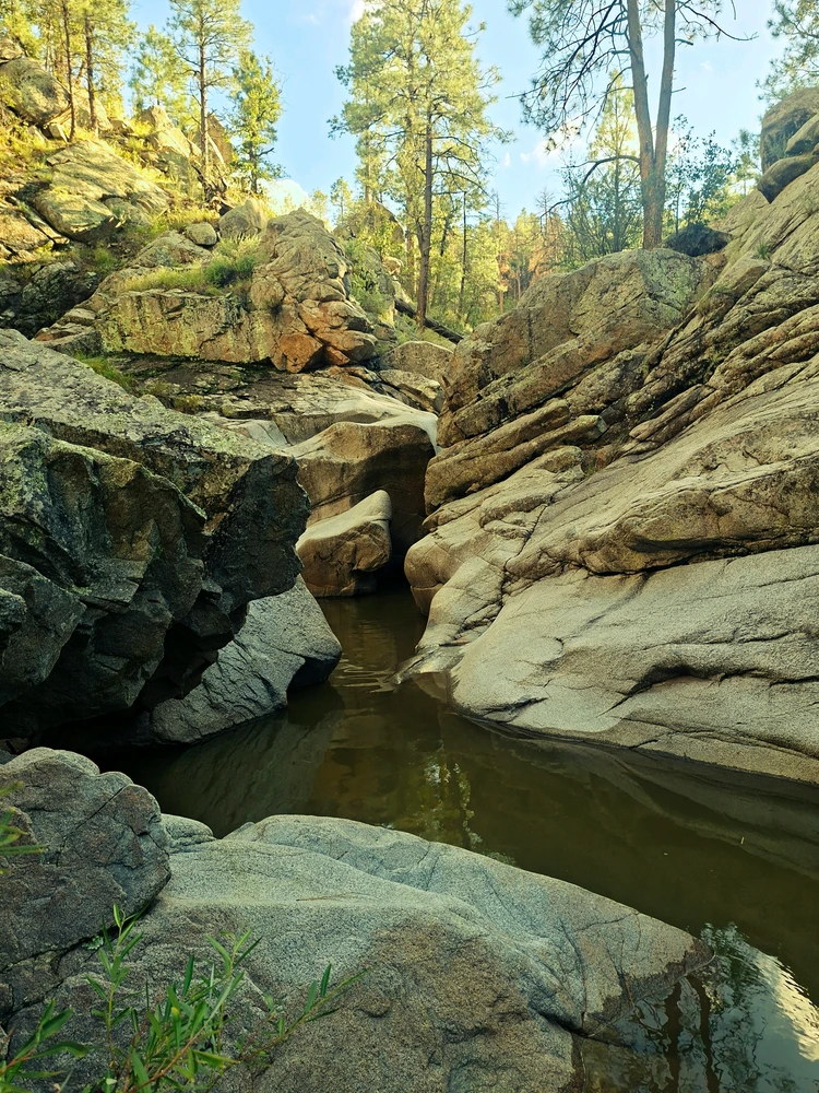 Image uploaded by Zachery