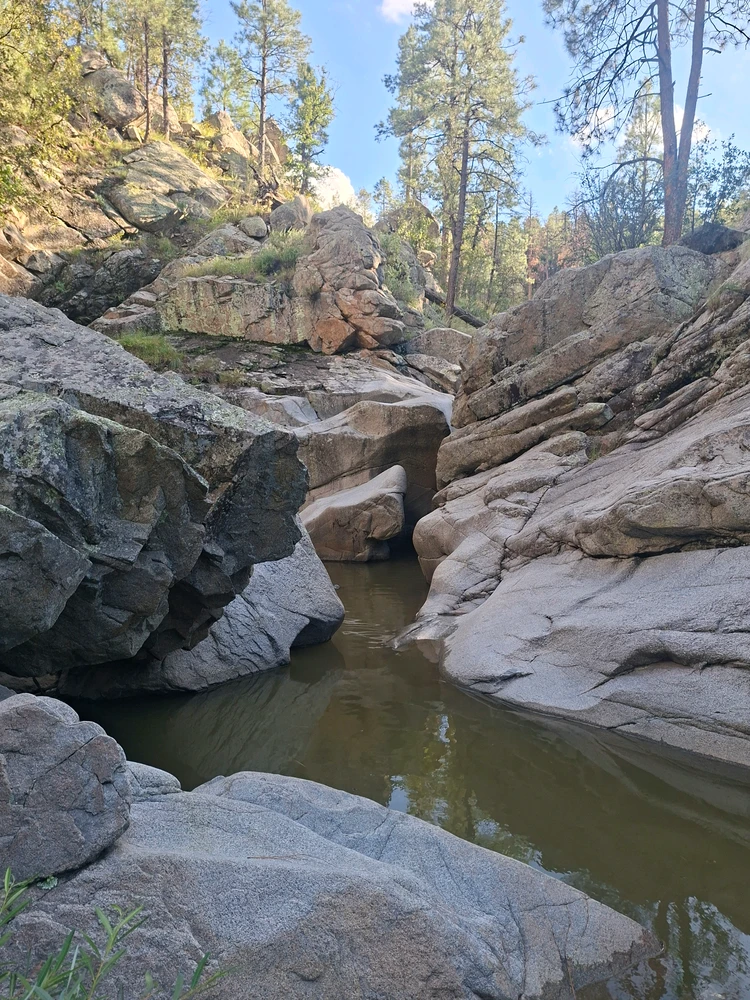 Image uploaded by Zachery
