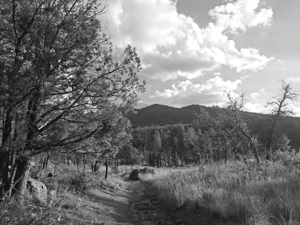 Image uploaded by Zachery