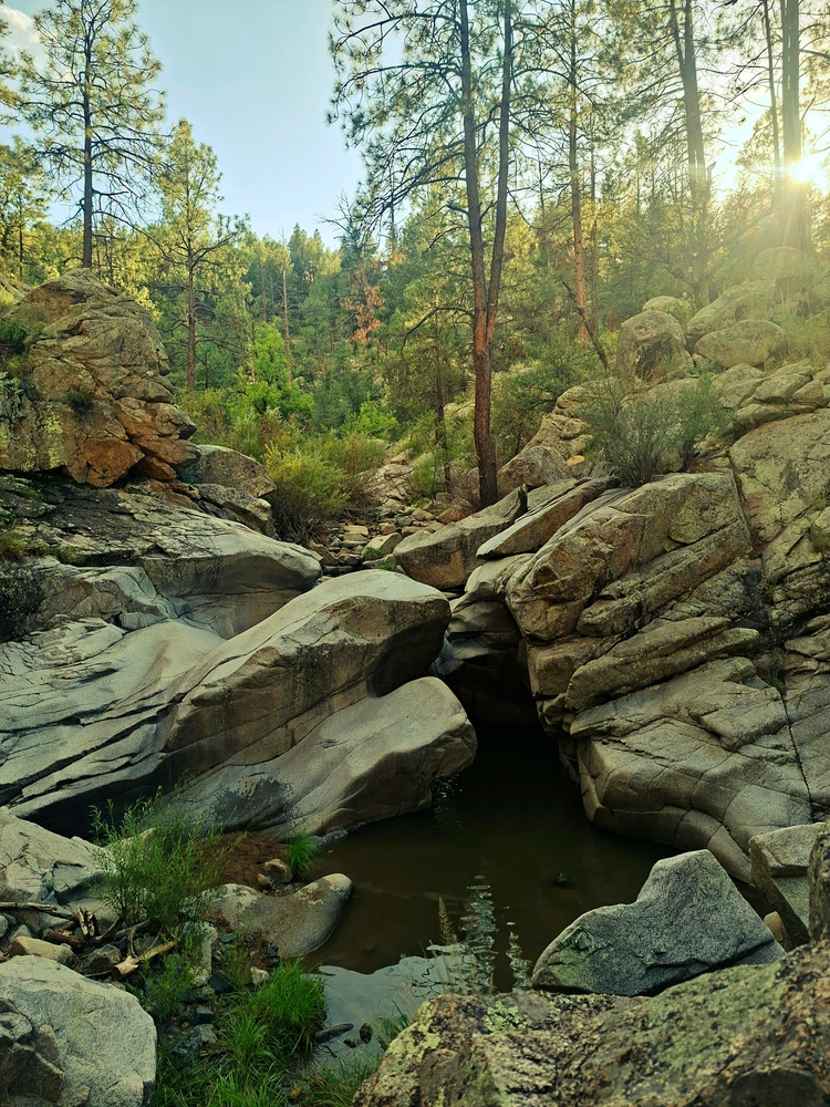 Image uploaded by Zachery