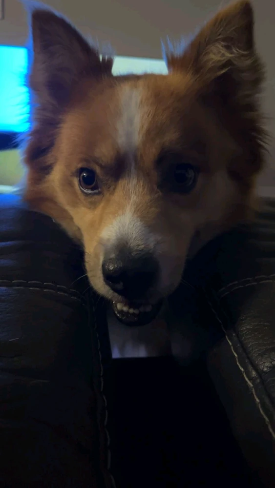 GIF uploaded by Jeremiah