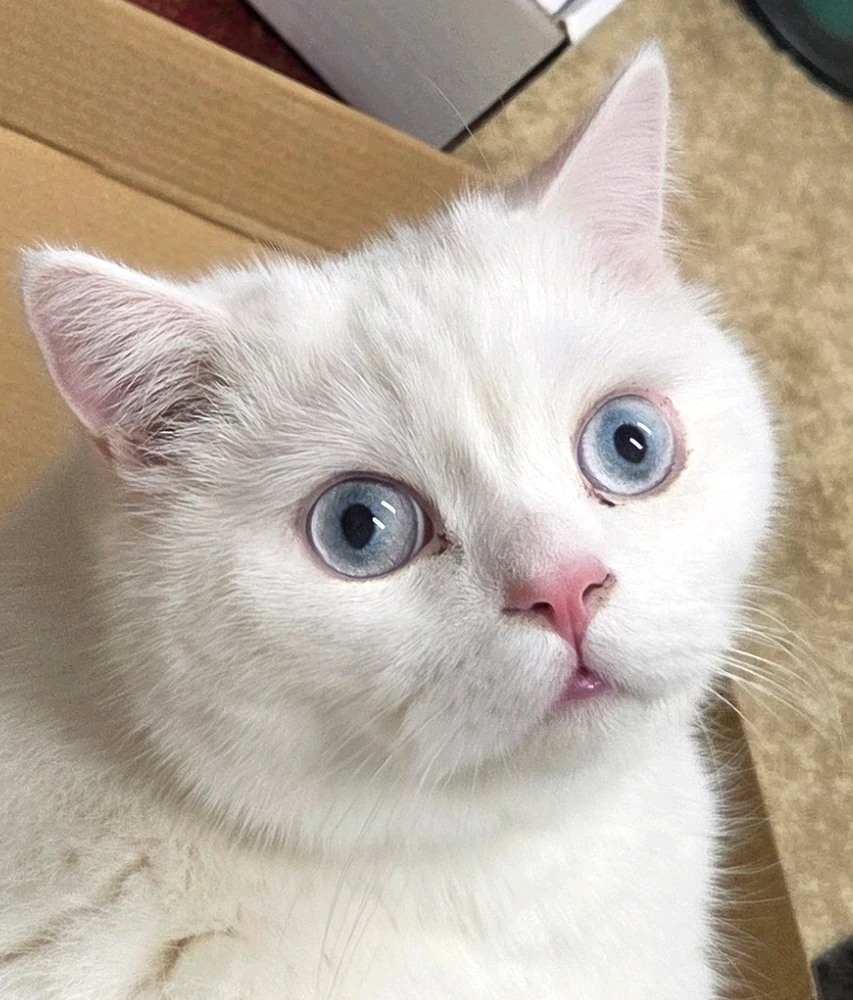 GIF uploaded by Ecem
