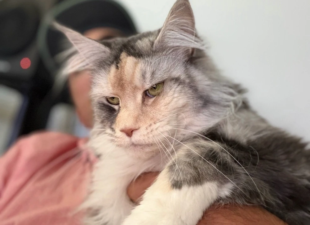 GIF uploaded by Noah