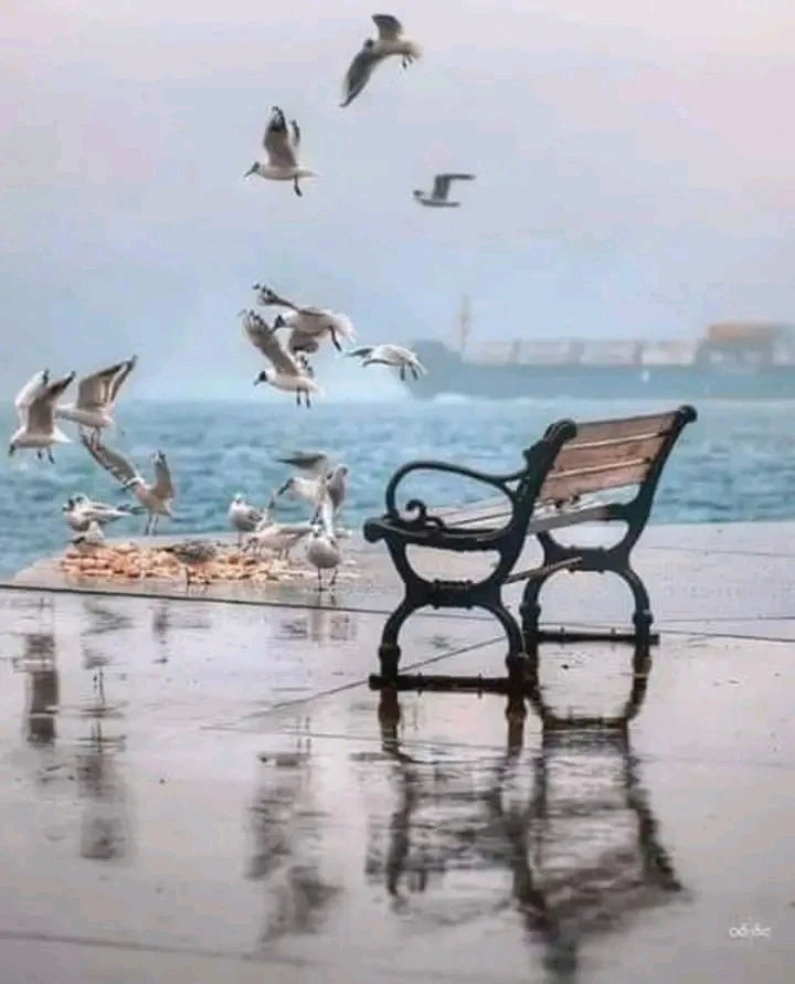 Image uploaded by Wael