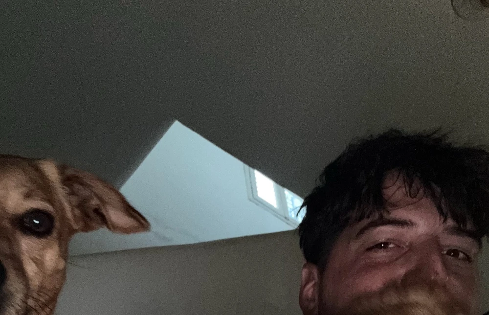 GIF жүктеген Stefanos