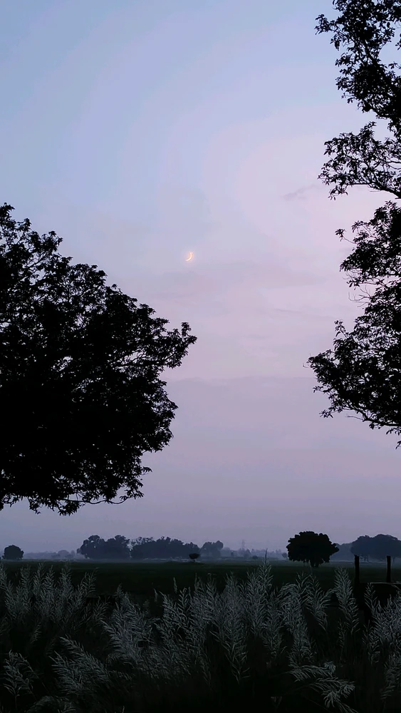 Image uploaded by Sarvajeet