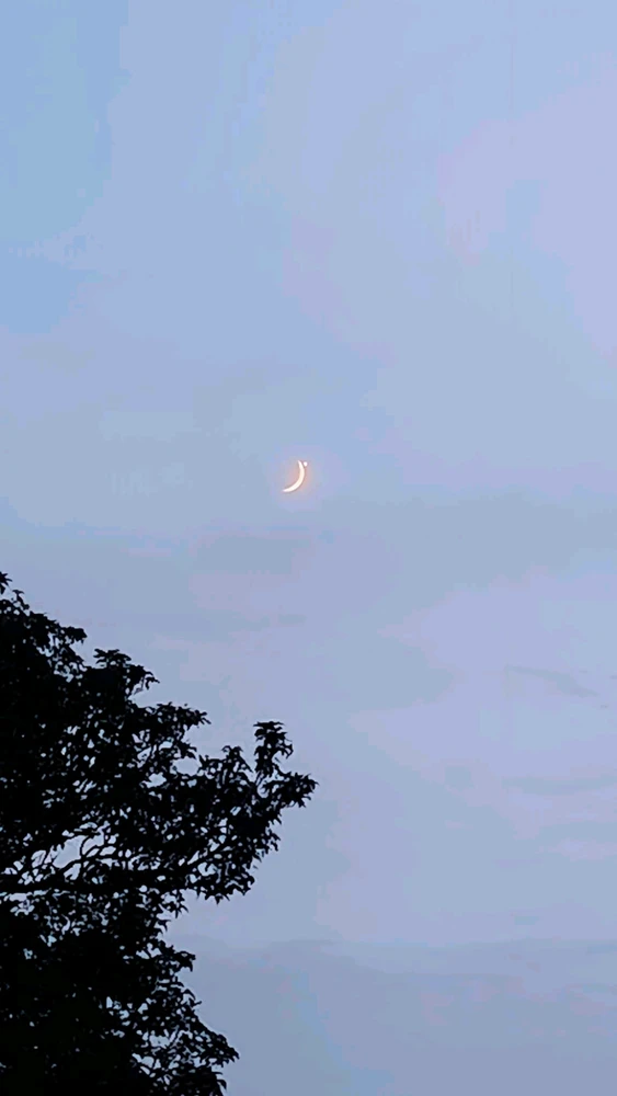 Image uploaded by Sarvajeet